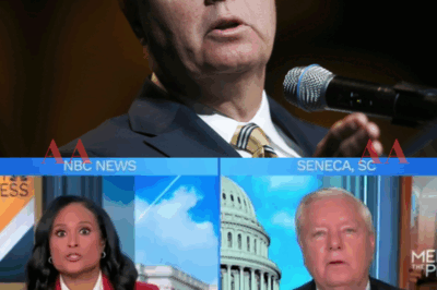Fiery TV Showdown: Lindsey Graham Battles NBC Anchor Over Tulsi Gabbard’s Shocking Russiagate Allegations, Accusing Media of Twisting the Truth|KF
