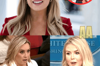 Can’t be silent any longer: Jackie Heinrich frankly exposed Karoline Leavitt’s fabrication right on Fox News, causing a stir on American social networks with fierce debates about media ethics and honesty in politics|KF