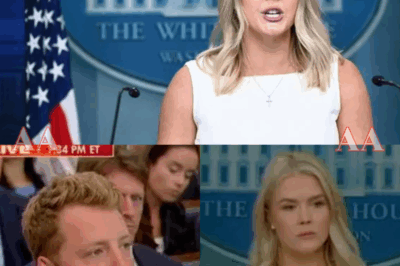 Karoline Leavitt Explodes in Fury Over Trump–Putin Call — White House Press Secretary Unleashes Rage on New York Times Reporter, Shocking the Public as His Unexpected Reaction Sparks a Storm of Controversy|KF