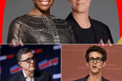 The Trinity of Truth? Inside the Explosive Secret Alliance Between Rachel Maddow, Stephen Colbert, and Joy Reid — How Their Covert Partnership Could Reshape the Media Landscape Forever, Challenge the Establishment, and Spark a Cultural Firestorm That the Public Never Saw Coming|KF