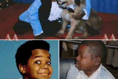 The highest-paid child star at just 10 years old in 1978, who once sued his parents for a staggering $18 million, has tragically died penniless and destitute at only 42|KF
