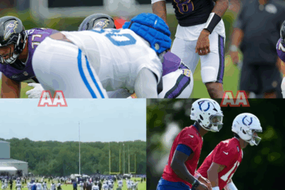 Chaos Erupts as Ravens and Colts’ First Joint Practice Turns Into All-Out Brawl – Witnesses Claim What Happened After the Ejection Was Even More Disturbing!