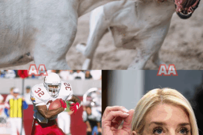 U.S. sports shaken: LeShon Johnson accused of running a ‘blood ritual dog camp,’ FBI reveals list of famous players involved in betting.