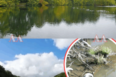Dark mystery never solved: The tragic story of teenage girls found wrapped in each other’s arms at the bottom of a reservoir|KF
