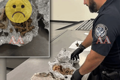 Horrifying at the airport: security staff discovered a human skull and bones in a passenger’s luggage! The incident has sent shockwaves through the online community and the aviation industry, causing panic among travelers|KF