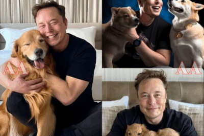 “THE VIDEO MELTING THE INTERNET — ELON MUSK’S SON X Æ A-Xii STEALS THE SPOTLIGHT WITH AN UNEXPECTED GUEST!”  It’s the side of Elon Musk the world rarely gets to see — not the billionaire innovator or the bold visionary, but the devoted father. In a new viral clip that’s taking social media by storm, Musk’s young son X Æ A-Xii captures hearts worldwide as he shares a sweet, unscripted moment with a surprise guest that no one saw coming.  Fans are calling it “the most human Musk moment ever.” The clip, filled with laughter and genuine warmth, shows a glimpse of a softer world behind Tesla’s steel and SpaceX’s rockets. It’s a reminder that even the man planning life on Mars still finds joy in the simple, spontaneous moments here on Earth.  Who’s the surprise guest — and what exactly happened that made millions fall in love with this adorable moment? Find out below before the internet moves on to the next big thing|KF