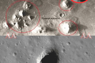 👁️ “THEY WEREN’T SUPPOSED TO FIND IT.” For decades, NASA called them shadows. But new satellite footage tells another story — one filled with symmetry, design… and silence. Faces carved into Martian cliffs. Geometric domes beneath the Moon’s surface. Experts say “natural formations.” Whistleblowers whisper “proof of someone before us.” The question no one at NASA wants to answer:  “What if we’re the visitors?”|KF