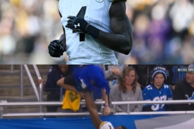 DK Metcalf is facing major NFL punishment after a shocking moment in which the Seahawks star allegedly threw a punch at an opposing fan in the stands.