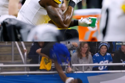 The Lions fan shoved by DK Metcalf breaks his silence, detailing what sparked the shocking sideline incident and admitting he was left ‘a little rattled.