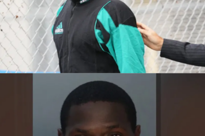 Antonio Brown ignites a legal firestorm as he files a bold motion to dismiss his attempted-murder case, invoking Florida’s explosive ‘Stand Your Ground’ law — a high-stakes move that could reshape his future and send shockwaves through the sports world.