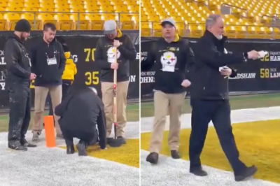 Fans hail ‘divine intervention’ as priest blesses field moments before Steelers’ dramatic win that keeps their playoff hopes alive