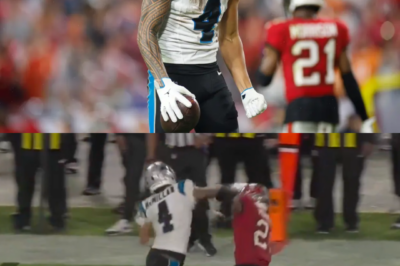 Firestorm after the final whistle: referees are eviscerated for a controversial Panthers penalty that loomed large in a crushing loss to the Buccaneers