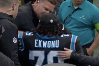 Devastating blow for Panthers as star is carted off with a ‘significant’ knee injury during an agonizing loss to the LA Rams