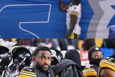 Lions Fan Files $100 Million Lawsuit Claiming Defamation and Assault After DK Metcalf Clash, Denying Racial Slur Allegations and Seeking Justice