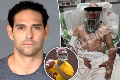 Mark Sanchez Accused of Being Under the Influence of Multiple Substances During Life-Altering Brawl, According to Allegations