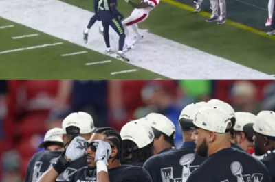 Seahawks’ Josh Jobe faces looming NFL punishment after shocking Super Bowl altercation that saw him avoid ejection in bizarre, unflagged fracas