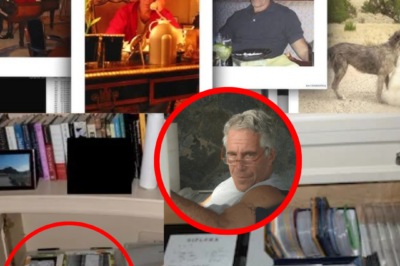 A newly surfaced inventory from Jeffrey Epstein’s “secret” storage unit reads like a missing chapter—items reportedly removed ahead of a 2005 raid, then locked away outside official view. The most unsettling claim: authorities may never have searched it. One line in the file changes how everything else reads|KF